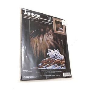Janlynn Counted Cross Stitch 13-244 Northern Light 11 x 14 VTG 90s 1998 Reinardy